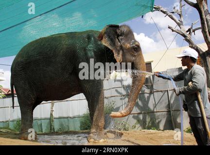 (141125) -- PHNOM PENH, 25 novembre 2014 -- Un uomo acque elefante Sambo a Phnom Penh, Cambogia, 25 novembre 2014. Sambo, il famoso elefante conosciuto per anni come una delle attrazioni più famose della capitale Phnom Penh, questa settimana si ritirerà nella provincia di Mondulkiri della Cambogia nord-orientale, un proprietario e funzionario ha detto martedì. ) CAMBOGIA-PHNOM PENH-ELEPHANT-RETIREMENT Sovannara PUBLICATIONxNOTxINxCHN Phnom Penh Nov 25 2014 a Man Waters Elephant Sambo a Phnom Penh Cambogia Nov 25 2014 Sambo il famoso Elefante conosciuto per anni come una delle attrazioni più famose della capitale Phnom Penh si ritirerà a Northeaster Foto Stock