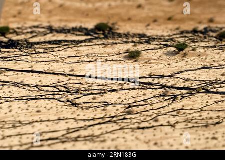 (141204) -- GERUSALEMME, 4 dicembre 2014 -- la fotografia aerea fornita dal Ministero israeliano per la protezione dell'ambiente mostra una grande fuoriuscita di petrolio causata da un oleodotto che ha violato durante i lavori di manutenzione nel deserto di Arava, nel sud di Israele, il 4 dicembre 2014. Una fuoriuscita di petrolio ha inondato da un giorno all'altro una riserva naturale desertica nel sud di Israele, causando uno dei peggiori disastri ecologici in Israele, hanno detto giovedì funzionari e media locali. /ISRAEL ENVIROMENTAL PROTECTION MINSTRY) ISRAEL-ARAVA DESERT-OIL SPILLAGE JINI PUBLICATIONxNOTxINxCHN Jerusalem DEC 4 2014 handout foto aerea fornita Foto Stock