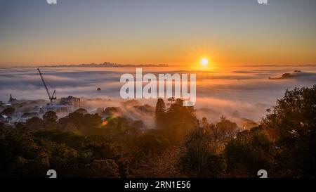 Città di Auckland sopra un mare di nebbia all'alba. Le stelle del sole brillano tra le nuvole. Gru da costruzione e alberi in primo piano. Vista dal monte E. Foto Stock