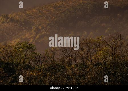 Una mattinata di sole brilla attraverso le cime attraverso un sottile strato di nebbia, creando bellissimi binari ferroviari, il paesaggio di Dalat, il paesaggio suburbano di Dalat, il paesaggio vietnamita Foto Stock