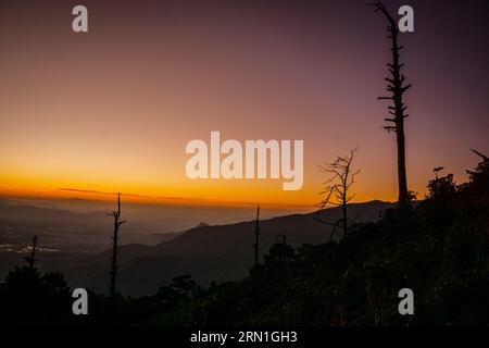 Una mattinata di sole brilla attraverso le cime attraverso un sottile strato di nebbia, creando bellissimi binari ferroviari, il paesaggio di Dalat, il paesaggio suburbano di Dalat, il paesaggio vietnamita Foto Stock