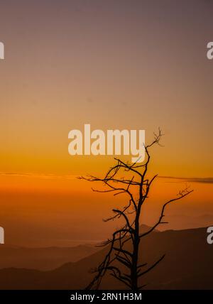 Una mattinata di sole brilla attraverso le cime attraverso un sottile strato di nebbia, creando bellissimi binari ferroviari, il paesaggio di Dalat, il paesaggio suburbano di Dalat, il paesaggio vietnamita Foto Stock