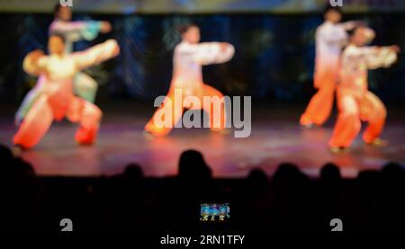 JOHANNESBURG, 20 gennaio 2015 -- Uno spettatore scatta una foto della performance di 5 atleti durante uno spettacolo di Kongfu a Johannesburg, in Sudafrica, il 20 gennaio 2015. Un totale di 12 atleti in visita dall'Associazione cinese Wushu hanno fatto uno spettacolo di Kongfu qui martedì. ) SUDAFRICA-JOHANNESBURG-CINA-KONGFU Show ZhaixJianlan PUBLICATIONxNOTxINxCHN Johannesburg 20 gennaio 2015 uno Spectator scatta una foto della performance di 5 atleti durante uno spettacolo di Kongfu a Johannesburg in Sudafrica IL 20 gennaio 2015 un totale di 12 atleti in visita dell'Associazione cinese Wushu hanno fatto un Kongfu Show Here Tuesday South Africa Joh Foto Stock