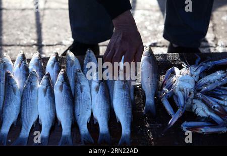 (150202) -- ALESSANDRIA D'Egitto, 2 febbraio 2015 -- un venditore di pesce egiziano espone i propri prodotti in un mercato di strada nella città di pescatori El Max ad Alessandria, Egitto, il 31 gennaio 2015. La città di pescatori, conosciuta come Venezia in Egitto, si trova vicino alla città costiera mediterranea di Alessandria, e i pescatori qui vivono di pesca da una generazione all'altra. ) EGYPT-ALEXANDRIA-FISH-EL MAX-FEATURE AhmedxGomaa PUBLICATIONxNOTxINxCHN Alexandria 2 febbraio 2015 ai venditori di pesce egiziani espongono i loro prodotti IN un mercato di strada PRESSO la Fisher Town El Max ad Alessandria Egitto IL 31 2015 gennaio la Fisher Town conosciuta come Venice in Egy Foto Stock