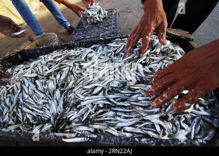 (150202) -- ALESSANDRIA D'Egitto, 2 febbraio 2015 -- un venditore di pesce egiziano espone i propri prodotti in un mercato di strada nella città di pescatori El Max ad Alessandria, Egitto, il 31 gennaio 2015. La città di pescatori, conosciuta come Venezia in Egitto, si trova vicino alla città costiera mediterranea di Alessandria, e i pescatori qui vivono di pesca da una generazione all'altra. ) EGYPT-ALEXANDRIA-FISH-EL MAX-FEATURE AhmedxGomaa PUBLICATIONxNOTxINxCHN Alexandria 2 febbraio 2015 ai venditori di pesce egiziani espongono i loro prodotti IN un mercato di strada PRESSO la Fisher Town El Max ad Alessandria Egitto IL 31 2015 gennaio la Fisher Town conosciuta come Venice in Egy Foto Stock