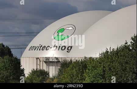 31 agosto 2023, Meclemburgo-Pomerania occidentale, Güstrow: È ufficialmente in funzione il più grande impianto tedesco per la produzione di GNL biologico per il carburante per autocarri. L'azienda Envitec prevede di produrre circa 9.600 tonnellate di GNL biologico all'anno qui in futuro. Sarebbe sufficiente per i camion a percorrere 50 milioni di chilometri all'anno. Le materie prime utilizzate sono principalmente letame di pollo e mais. Foto: Bernd Wüstneck/dpa Foto Stock