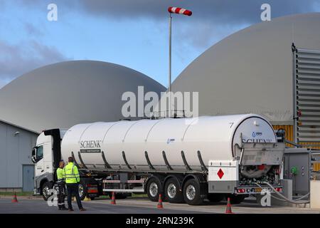 31 agosto 2023, Meclemburgo-Pomerania occidentale, Güstrow: Prima della messa in funzione ufficiale del più grande impianto tedesco per la produzione di GNL biologico, viene presentato l'impianto di produzione di GNL. L'azienda Envitec prevede di produrre circa 9.600 tonnellate di GNL biologico all'anno qui in futuro. Sarebbe sufficiente per i camion a percorrere 50 milioni di chilometri all'anno. Le materie prime utilizzate sono principalmente letame di pollo e mais. Foto: Bernd Wüstneck/dpa Foto Stock