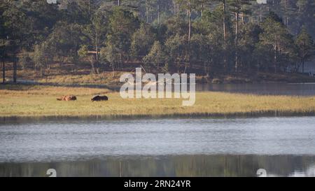 Alba al lago Tuyen Lam vista dalla cima del monte Pinhat, un famoso paesaggio di da Lat Foto Stock