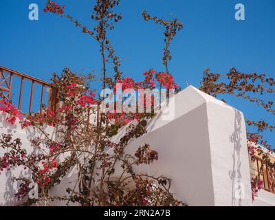 Graziosi dettagli di finestre, porte e balconi di una vecchia casa sull'isola di Simi. Vacanze nelle isole della Grecia da Rodi nel Mar Egeo. Colorato stile neoclassico Foto Stock