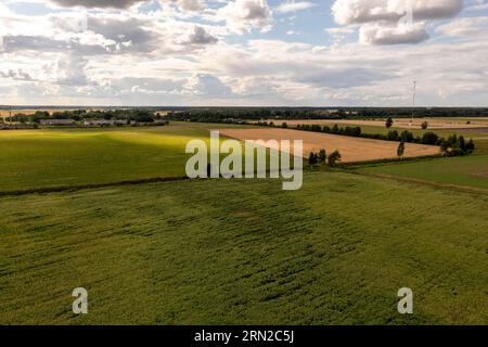 Fotografia con droni di campi agricoli durante il giorno d'estate Foto Stock