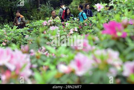 (150315) -- HONG KONG, 15 marzo 2015 -- i visitatori passeggiano nel giardino della Government House di Hong Kong, 15 marzo 2015. La camera del governo ha aperto al pubblico la domenica. I visitatori possono vedere fiori in fiore e ammirare gli edifici dignitosi con una miscela unica di design orientale e occidentale. (mt) CHINA-HONG KONG-GOVERNMENT HOUSE-OPEN DAY (CN) HexJingjia PUBLICATIONxNOTxINxCHN Hong Kong 15 marzo 2015 i visitatori passeggiano AL Garden of Government House di Hong Kong 15 marzo 2015 la Government House aperta al pubblico la domenica i visitatori POSSONO ammirare i fiori in fiore e ammirare lo scavo Foto Stock