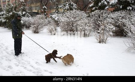 (150402) -- CHIFENG, 2 aprile 2015 -- Un residente cammina il suo cane su una strada innevata a Hexigten Banner of Chifeng City, regione autonoma della Mongolia interna della Cina settentrionale, 2 aprile 2015. Una nevicata ha colpito la zona giovedì e dovrebbe andare a beneficio dell'agricoltura locale. ) (lfj) MONGOLIA-CHIFENG-NEVICATA INTERNA ALLA CINA (CN) SunxGuoshu PUBLICATIONxNOTxINxCHN Chifeng 2 aprile 2015 un residente cammina il suo cane SU una strada innevata a Hexigten Banner della città di Chifeng regione autonoma della Mongolia interna della Cina del Nord 2 aprile 2015 una nevicata ha colpito la zona giovedì e dovrebbe beneficiare l'agricoltura locale China Inner Mo Foto Stock