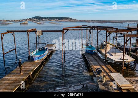 Francia, Hérault, Bouzigues, villaggio sulle rive dell'Etang de Thau e rinomato per le sue ostriche e molluschi, allevamenti di ostriche, Mont Saint-Clair e Sète sullo sfondo (vista aerea) Foto Stock