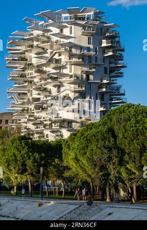 Francia, Herault, Montpellier, distretto di Richter, le rive del fiume Lez, l'Arbre Blanc, edificio progettato dall'architetto giapponese Sou Foujimoto e dagli architetti francesi Nicolas Laisne et Manal Rachdi Foto Stock