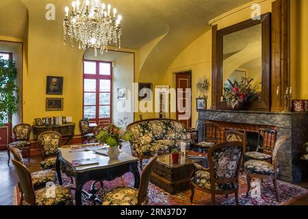 Francia, Aveyron, Millau, Chateau de Creissels Hotel Foto Stock