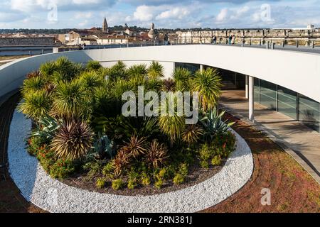 Francia, Gard, Nimes, giardino sul tetto del Museo Romanity (Musée de la Romanite) dell'architetto Elizabeth de Portzamparc, l'anfiteatro dell'arena si affaccia Foto Stock