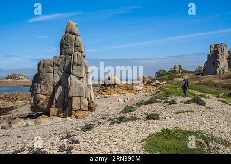 Francia, Cotes-d'Armor, Cote d'Ajoncs, Plougrescant, Pors (Porz) Scaff Beach con bassa marea Foto Stock