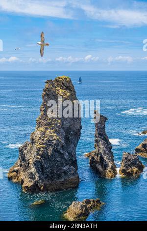 Francia, Morbihan, Belle Ile en Mer, la costa selvaggia, Bangor, Port Coton Needles Foto Stock