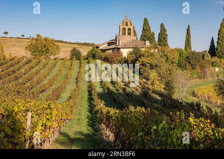 Francia, Tarn, Lisle sur Tarn, chiesa di Saint Salvy de Coutens nel vigneto di Gaillac Foto Stock