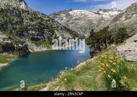 Spagna, Catalogna, Val d'Aran, Arties, Parco Nazionale Aiguestortes e Lago di San Maurici, estany Negre e vetta Besiberri Foto Stock