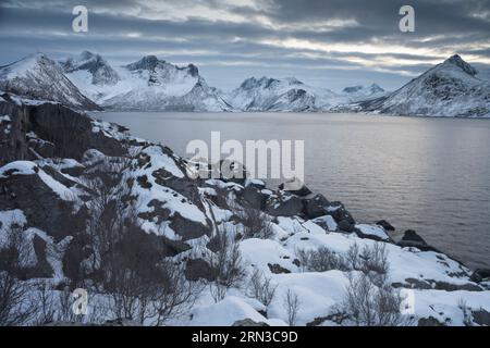 L'aspro e suggestivo skyline di Senja, nella Norvegia settentrionale, visto dall'isola di Husøy. Foto Stock