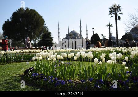 (150414) -- ISTANBUL, 14 aprile 2015 -- i tulipani fioriscono di fronte alla Sultanahmet Camii (Moschea Blu) a Istanbul, Turchia, 11 aprile 2015. L'annuale Istanbul International Tulip Festival viene di solito in aprile e i tulipani in fiore decorano la più grande città della Turchia). TURCHIA-ISTANBUL-TULIP FESTIVAL HexCanling PUBLICATIONxNOTxINxCHN Istanbul 14 aprile 2015 I TULIPANI fioriscono di fronte alla Moschea Blu di Sultanahmet Camii a Istanbul in Turchia 11 aprile 2015 l'annuale Istanbul International Tulip Festival VIENE solitamente in aprile e i TULIPANI in fiore decorano la più grande città della Turchia Turchia Turchia Istanbul Tulip Foto Stock