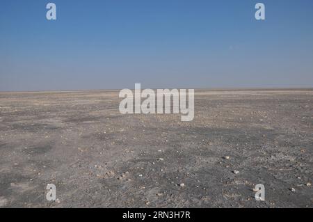 (150417) -- MAKGADIKGADI, 17 aprile 2015 -- foto scattata il 14 aprile 2015 mostra una vista dell'area delle saline di Makgadikgadi nel Botswana centrale. L'area delle teglie di Makgadikgadi è una delle saline più grandi del mondo e copre un'area di oltre 30.000 km². Le ricerche suggeriscono che le padelle sono una reliquia di quello che un tempo era uno dei più grandi laghi dell'entroterra che l'Africa abbia mai avuto. Durante la stagione delle piogge, il terreno bianco e pianeggiante delle padelle può essere trasformato in un lago di polvere. ) SALINE BOTSWANA-MAKGADIKGADI LvxTianran PUBLICATIONxNOTxINxCHN Makgadikgadi 17 aprile 2015 la foto scattata IL 14 aprile 2015 mostra una vista di M. Foto Stock