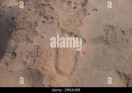 (150417) -- RASESA, 17 aprile 2015 -- foto scattata il 16 aprile 2015 mostra le incisioni rupestri Matsieng del popolo San (popolo Bushman) realizzate alla tarda età della pietra nel villaggio di Rasesa, a sud-est del Botswana. Le incisioni includono impronte animali e umane. ) BOTSWANA-RASESA-MATSIENG INCISIONI RUPESTRI-SAN PEOPLE LyuxTianran PUBLICATIONxNOTxINxCHN 17 aprile 2015 foto scattata IL 16 aprile 2015 mostra incisioni rupestri di celebrità di San celebrità Bushman realizzate ALLA tarda età della pietra nel villaggio sud-est del Botswana le incisioni includono impronte animali e umane incisioni rupestri Botswana San Celebriti Foto Stock