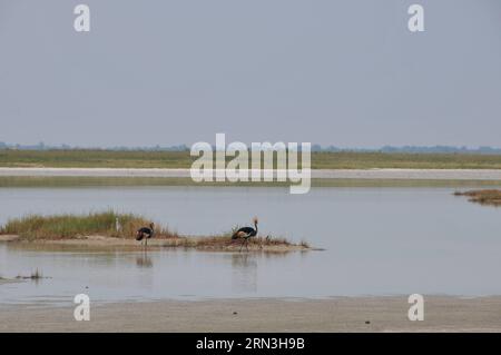 (150417) -- MAKGADIKGADI, 17 aprile 2015 -- foto scattata il 15 aprile 2015 mostra una vista del santuario degli uccelli di nata nell'area delle saline di Makgadikgadi nel Botswana centrale. L'area delle teglie di Makgadikgadi è una delle saline più grandi del mondo e copre un'area di oltre 30.000 km². Le ricerche suggeriscono che le padelle sono una reliquia di quello che un tempo era uno dei più grandi laghi dell'entroterra che l'Africa abbia mai avuto. Durante la stagione delle piogge, il terreno bianco e pianeggiante delle padelle può essere trasformato in un lago di polvere. ) SALINE BOTSWANA-MAKGADIKGADI LvxTianran PUBLICATIONxNOTxINxCHN Makgadikgadi 17 aprile 2015 foto scattata IL 15 aprile Foto Stock