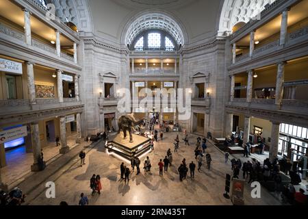 National Museum of Natural History Atrium Washington DC // WASHINGTON DC - l'atrio principale dello Smithsonian National Museum of Natural History mostra la grande rotunda che funge da fulcro centrale per i visitatori che esplorano le vaste collezioni del museo. Il Museo Nazionale di storia naturale, fondato nel 1910, ospita più di 146 milioni di esemplari scientifici e manufatti culturali che rappresentano il patrimonio naturale della Terra. Il museo, parte dello Smithsonian Institution, si trova sul National Mall e rimane uno dei musei di storia naturale più visitati al mondo. Foto Stock