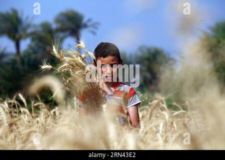 (150504) -- FAYOUM, 4 maggio 2015 -- un ragazzo egiziano lavora in un campo di grano nel villaggio di Deska, Fayoum, circa 130 chilometri a sud-ovest del Cairo, in Egitto, il 4 maggio 2015. Questa stagione la coltura di grano in Egitto raggiungerà i 10 milioni di tonnellate e il governo egiziano ha elaborato un piano per la produzione di grano che soddisfi oltre il 80 per cento del suo fabbisogno interno entro il 2030. L'Egitto è il più grande importatore mondiale di frumento, che di solito acquista circa 10 milioni di tonnellate di frumento all'anno dai mercati internazionali e utilizza una miscela di frumento nazionale e di importazione per il suo programma di pane sovvenzionato. ) EGYPT-FAYOUM-WHEAT-H. Foto Stock