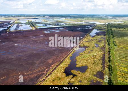 Vista aerea della brughiera, dell'area di taglio e riumidificazione della torba Esterweger dose in Emsland, immagine di un drone, bassa Sassonia, Germania Foto Stock