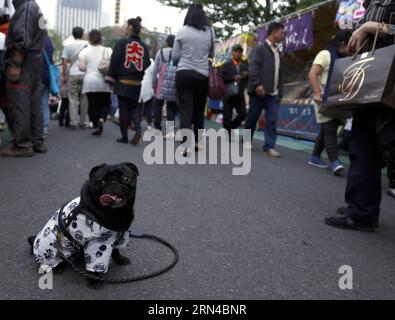 (150516) -- TOKYO, 16 maggio 2015 -- Un cane indossa un cappotto happi durante l'annuale Festuval di Sanja, uno dei tre più grandi festival di Tokyo, Giappone, 16 maggio 2015. Circa 100 santuari portatili sono stati portati in scena il 2° giorno del festival, che si tiene dal 15 al 17 maggio di quest'anno. ) GIAPPONE-TOKYO-ASAKUSA SANJA FESTIVAL Stringer PUBLICATIONxNOTxINxCHN Tokyo 16 maggio 2015 un cane indossa un Happi Coat durante il festuval annuale di Sanja uno dei tre più grandi festival di Tokyo Giappone 16 maggio 2015 circa 100 Santuari di Porto sono stati portati in scena NEL 2° giorno del Festival che È eroe da maggio dal 15 al 17 quest'anno Foto Stock