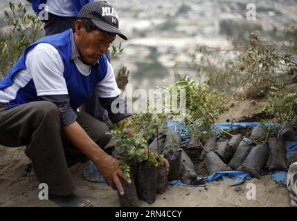 (150516) -- QUITO, 16 maggio 2015 -- Un uomo partecipa a un evento di piantagione di alberi nella collina di Catequilla a Quito, capitale dell'Ecuador, il 16 maggio 2015. Un totale di 44.833 persone ecuadoriane ha seminato 647.250 piante in 1.997 ettari simultaneamente in diverse località del paese sabato, il che è stato un tentativo di imporre un nuovo record Guinness di rimboschimento. Santiago Armas) (da) ECUADOR-QUITO-SOCIETY-REFORESTATION e SANTIAGOxARMAS PUBLICATIONxNOTxINxCHN Quito 16 maggio 2015 un uomo partecipa a un evento di piantagione di alberi a Hill in Quito capitale dell'Ecuador IL 16 maggio 2015 per un totale di 44 833 Celebr ecuadoriana Foto Stock