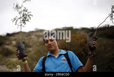 (150516) -- QUITO, 16 maggio 2015 -- Un uomo partecipa a un evento di piantagione di alberi nella collina di Catequilla a Quito, capitale dell'Ecuador, il 16 maggio 2015. Un totale di 44.833 persone ecuadoriane ha seminato 647.250 piante in 1.997 ettari simultaneamente in diverse località del paese sabato, il che è stato un tentativo di imporre un nuovo record Guinness di rimboschimento. Santiago Armas) (da) ECUADOR-QUITO-SOCIETY-REFORESTATION e SANTIAGOxARMAS PUBLICATIONxNOTxINxCHN Quito 16 maggio 2015 un uomo partecipa a un evento di piantagione di alberi a Hill in Quito capitale dell'Ecuador IL 16 maggio 2015 per un totale di 44 833 Celebr ecuadoriana Foto Stock