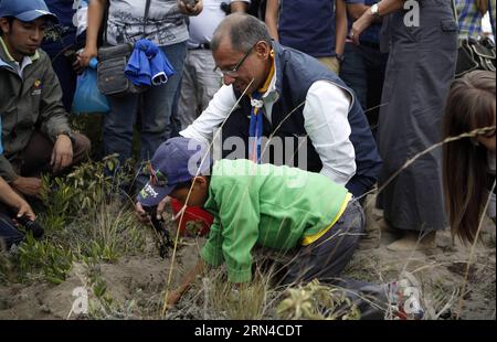 (150516) -- QUITO, 16 maggio 2015 -- il vicepresidente ecuadoriano Jorge Glas pianta un albero in un evento di piantagione di alberi nella collina di Catequilla a Quito, capitale dell'Ecuador, il 16 maggio 2015. Un totale di 44.833 persone ecuadoriane ha seminato 647.250 piante in 1.997 ettari simultaneamente in diverse località del paese sabato, il che è stato un tentativo di imporre un nuovo record Guinness di rimboschimento. Santiago Armas) (da) ECUADOR-QUITO-SOCIETY-REFORESTATION e SANTIAGOxARMAS PUBLICATIONxNOTxINxCHN Quito 16 maggio 2015 il vicepresidente ecuadoriano Jorge Glass Plants a Tree in a Tree Planting Event in Hill in Quito Foto Stock