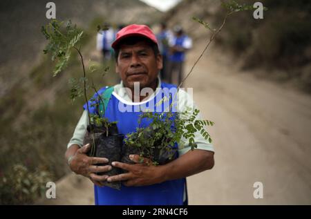 (150516) -- QUITO, 16 maggio 2015 -- Un uomo partecipa a un evento di piantagione di alberi nella collina di Catequilla a Quito, capitale dell'Ecuador, il 16 maggio 2015. Un totale di 44.833 persone ecuadoriane ha seminato 647.250 piante in 1.997 ettari simultaneamente in diverse località del paese sabato, il che è stato un tentativo di imporre un nuovo record Guinness di rimboschimento. Santiago Armas) (da) ECUADOR-QUITO-SOCIETY-REFORESTATION e SANTIAGOxARMAS PUBLICATIONxNOTxINxCHN Quito 16 maggio 2015 un uomo partecipa a un evento di piantagione di alberi a Hill in Quito capitale dell'Ecuador IL 16 maggio 2015 per un totale di 44 833 Celebr ecuadoriana Foto Stock