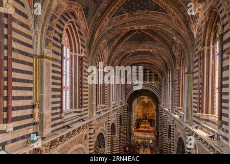 Vista dell'interno della cattedrale dalla porta del cielo, porta del cielo, colonne in marmo bianco e nero e archi rotondi, Siena Foto Stock