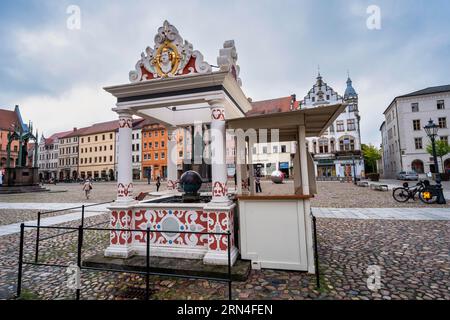 Fontana del mercato, Wittenberg, Sassonia-Anhalt, Germania Foto Stock