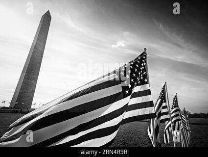 Monumento a Washington e bandiere americane, National Mall, Washington D.C. la fotografia in bianco e nero mostra l'obelisco che si innalza dietro una fila di bandiere che sventolano in primo piano. Foto Stock