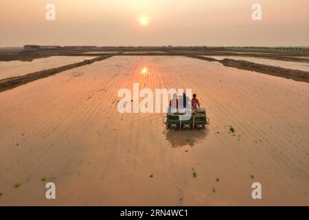 (150601) -- HOHHOT, 1° giugno 2015 -- gli agricoltori gestiscono una macchina per trapiantare piantine di riso in una risaia con terreno salino-alcalino nel villaggio Xiaodanba di Hohhot, nella regione autonoma di Monglia interna della Cina settentrionale, 1° giugno 2015. ) (wf) CINA-INTERNO MONGOLIA-FARMING (CN) WangxZheng PUBLICATIONxNOTxINxCHN 150601 Hohhot 1 giugno 2015 gli agricoltori gestiscono una macchina per piantare piante di riso in un campo Paddy con suolo salino alcalese nel villaggio di Hohhot regione autonoma della Monglia interna della Cina 1 giugno 2015 WF Cina interno Mongolia Farming CN PUBLICATIONXNOTxINXCHN Foto Stock