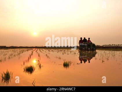 (150601) -- HOHHOT, 1° giugno 2015 -- gli agricoltori gestiscono una macchina per trapiantare piantine di riso in una risaia con terreno salino-alcalino nel villaggio Xiaodanba di Hohhot, nella regione autonoma di Monglia interna della Cina settentrionale, 1° giugno 2015. ) (wf) CINA-INTERNO MONGOLIA-FARMING (CN) WangxZheng PUBLICATIONxNOTxINxCHN 150601 Hohhot 1 giugno 2015 gli agricoltori gestiscono una macchina per piantare piante di riso in un campo Paddy con suolo salino alcalese nel villaggio di Hohhot regione autonoma della Monglia interna della Cina 1 giugno 2015 WF Cina interno Mongolia Farming CN PUBLICATIONXNOTxINXCHN Foto Stock