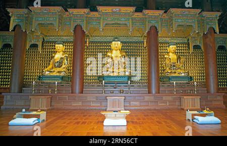 Statue di Buddha d'oro nel tempio, 18 maggio Memorial Park, Gwangju, provincia di Jeollanam-do, Corea del Sud Foto Stock