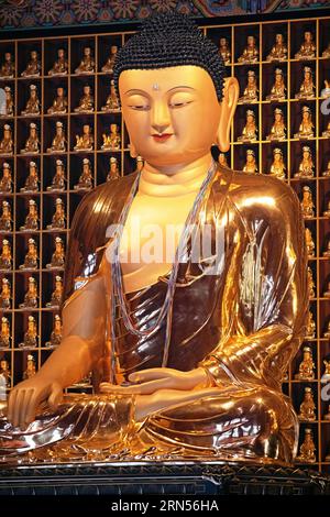 Statua del Buddha d'oro nel Tempio, 18 maggio Memorial Park, Gwangju, provincia di Jeollanam-do, Corea del Sud Foto Stock