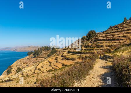 Turisti con guida su sentieri escursionistici, Isla del Sol, Isola del Sole, Comunidad Yumani, Comunità di Yumani, centro spirituale, Lago Titicaca Foto Stock