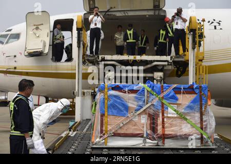 (150623) -- GUIYANG, 23 giugno 2015 -- Un membro del personale dell'ufficio provinciale di ispezione entrata-uscita e quarantena conduce ispezioni di quarantena in loco per i delfini provenienti dal Giappone presso l'aeroporto internazionale di Hangzhou, capitale della provincia di Zhejiang della Cina orientale, 23 giugno 2015. Otto delfini tursiopi provenienti da Osaka, in Giappone, che vengono acquistati da un parco oceanico polare nella provincia del Fujian della Cina sud-orientale, vengono trasportati via aerea a Hangzhou il martedì. Dopo la quarantena in loco all'aeroporto, i delfini saranno trasportati in una speciale stazione di quarantena per una quarantena di 30 giorni. )(wjq) CINA-Z Foto Stock