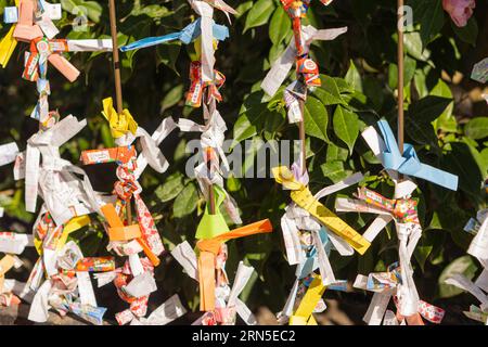 Omikuji, scatola di oracolo di carta con divinazioni, annodata su bastoni, Tsurugaoka Hachiman-GU Shinto Shintorine, Kamakura, Prefettura di Kanagawa Foto Stock