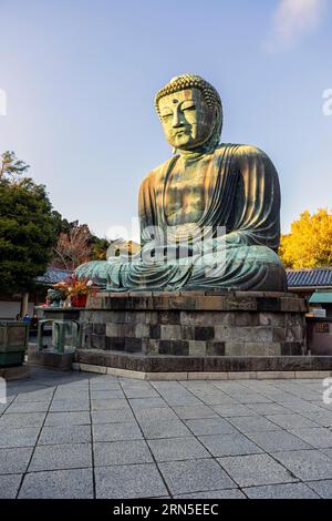 Il grande Buddha di bronzo (Daibutsu) sul terreno del Tempio di Kotokuin, Kamakura, prefettura di Kanagawa Foto Stock