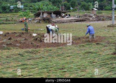 (150625) -- HANOI, 25 giugno 2015 -- gli agricoltori raccolgono riso in un campo allagato nella provincia di Son la, Vietnam settentrionale, 25 giugno 2015. Il tifone Kujira, sbarcato in Vietnam mercoledì a mezzogiorno, ha lasciato sette morti e altri quattro dispersi giovedì mattina. )(dzl) VIETNAM-SON LA-TYPHOON VNA PUBLICATIONxNOTxINxCHN 150625 Hanoi giugno 25 2015 agricoltori raccolto riso in un campo allagato nella provincia di Sun la Vietnam settentrionale giugno 25 2015 il tifone Kujira che ha fatto terra coperta in Vietnam mercoledì a mezzogiorno ha lasciato sette morti e altri quattro dispersi a partire da giovedì mattina dzl Vietnam Sun la Typhoon V. Foto Stock