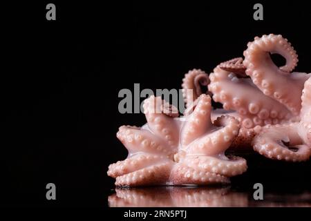 Ravvicinare il polpo con lo spazio per la copia Foto Stock